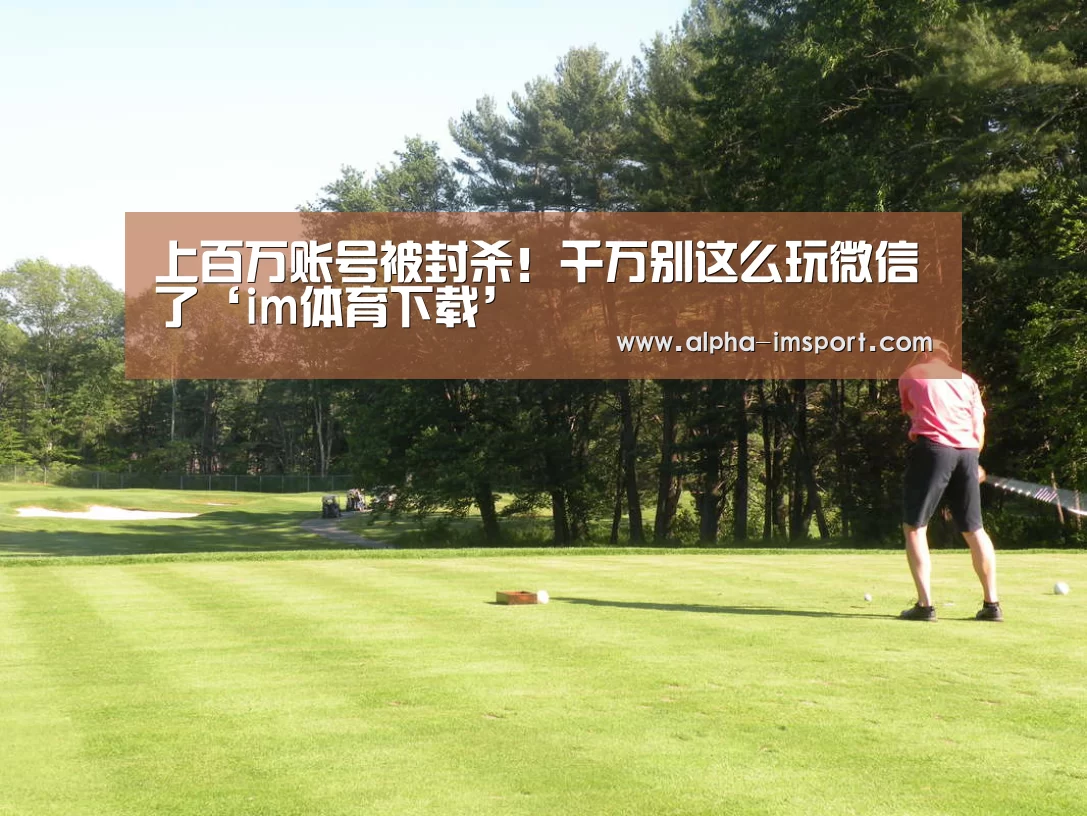 im体育下载