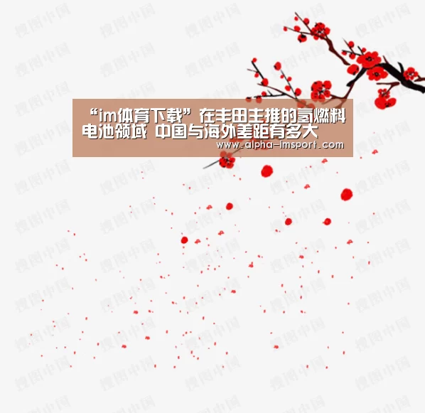 im体育投注