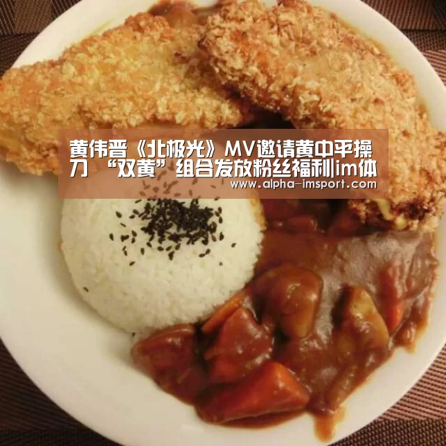 黄伟晋《北极光》MV邀请黄中平操刀 “双黄”组合发放粉丝福利|im体育投注(图2) im体育下载
