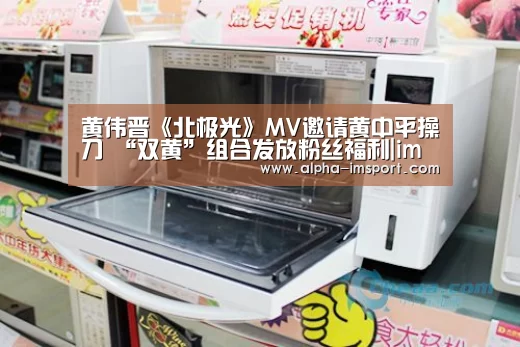 黄伟晋《北极光》MV邀请黄中平操刀 “双黄”组合发放粉丝福利|im体育投注(图3) im体育