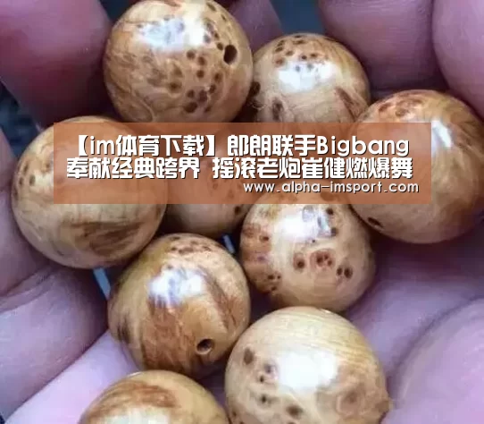 【im体育下载】郎朗联手Bigbang奉献经典跨界 摇滚老炮崔健燃爆舞台(图2) im体育官网
