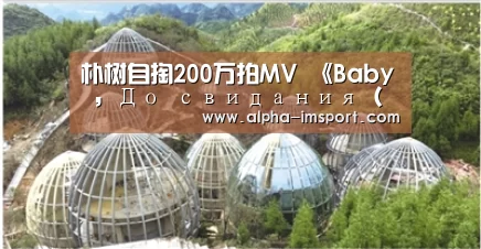 im体育投注