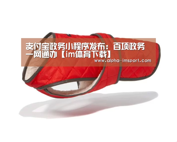 支付宝政务小程序发布:百项政务一网通办【im体育下载】(图4) im体育下载