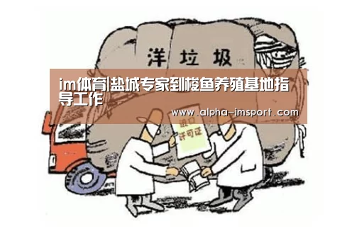 im体育官网